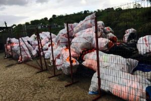 Dikili'de jandarma m&uuml;ltecilere g&ouml;z a&ccedil;tırmıyor