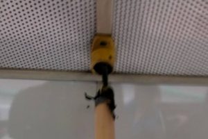 Bursa'da halk otob&uuml;sleri &ouml;l&uuml;me davetiye &ccedil;ıkarıyor!
