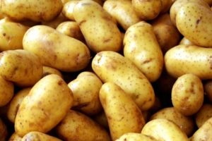 &Uuml;reticinin ihracat sevinci: Depolarda patates kalmayacak