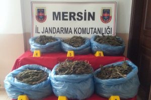 Mersin'de 21 kilo esrar ele ge&ccedil;irildi