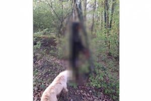 Sakarya'da kan donduran g&ouml;r&uuml;nt&uuml;