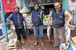 Bursa'da bu balıklar el yakıyor!