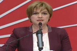 CHP S&ouml;zc&uuml;s&uuml; B&ouml;ke: T&uuml;rkiye'nin anayasa sorunu yok