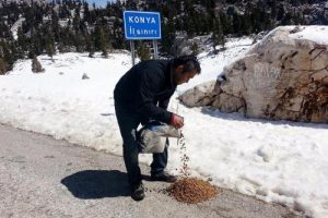 Yol kenarına bırakılan k&ouml;pekler barınağa g&ouml;t&uuml;r&uuml;ld&uuml;