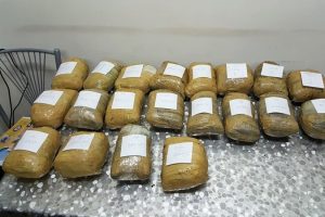 Kargo aracında 20 kilo esrar ele ge&ccedil;irildi