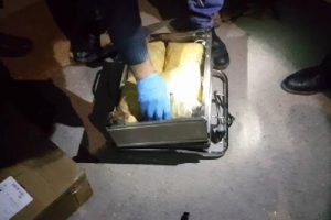 20 kilo esrarı 'Zela' adlı polis k&ouml;peği buldu