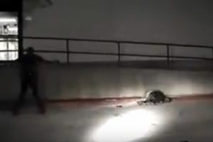ABD polisi yine acımadı