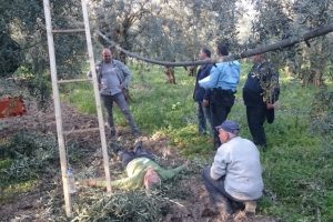 Bursa'da zeytin budarken merdivenden d&uuml;şt&uuml;!