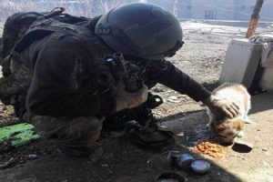 Askerden &ouml;rnek davranış: Kumanyasını sokak k&ouml;peğiyle paylaştı