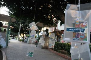 Mersin'de ağa&ccedil;lar kitap a&ccedil;tı