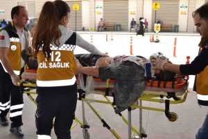 Bursa'da korkun&ccedil; kaza! K&ouml;peğe &ccedil;arptı, ardından takla atarak...
