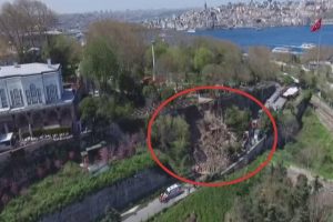 G&uuml;lhane Parkı'ndaki g&ouml;&ccedil;&uuml;k havadan g&ouml;r&uuml;nt&uuml;lendi
