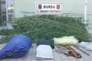 Bursa'yı zehirleyen uyuşturucu tacirleri yakalandı!