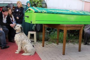 K&ouml;peği minik Buğra'nın tabutunun başından ayrılmadı