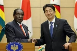 Zimbabve lideri Mugabe ayakta uyudu