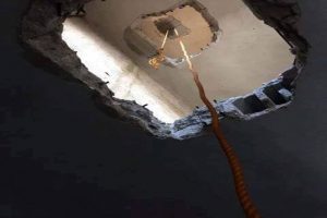Katları delerek ka&ccedil;maya &ccedil;alışıyorlar