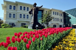 Bursa Osmangazi'de lale devri