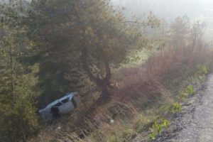 Otomobil şarampole u&ccedil;tu: 3 yaralı