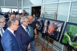 Bursa Gemlik K&ouml;rfez'deki su altı yaşam fotoğraflandı