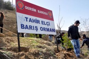 Tunceli Barosu Tahir El&ccedil;i anısına Barış Ormanı oluşturdu