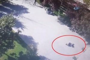 &Uuml;niversiteli gen&ccedil; &ouml;l&uuml;me b&ouml;yle atladı