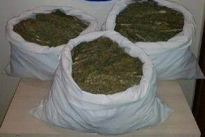 Şanlıurfa'da otomobilde 32 kilo esrar ele ge&ccedil;irildi
