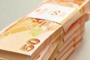Gen&ccedil;lere hibe uygulaması y&uuml;r&uuml;rl&uuml;kte