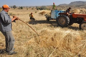 &Ccedil;ift&ccedil;iye destekte o s&uuml;re uzatıldı