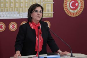 CHP'li Gaye Usluer: '&Ouml;n&uuml;ne yatmak'ın anlamı korumak ve kollamaktır