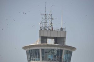 Baharın m&uuml;jdecisi, pilotların kabusu: Leylekler