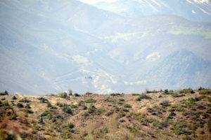 Tunceli'de PKK'ya nokta operasyonu