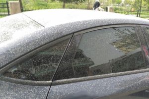 Bursa'ya &ccedil;amur yağdı!