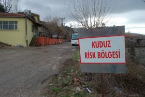 O ilde kuduz paniği