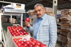 "50 bin ton elma depoda kaldı"