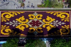 Canlı lale halısı Sultanahmet Meydanı'nda ziyarete a&ccedil;ıldı