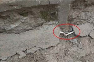 TSK yayınladı! Silopi'de ter&ouml;ristlerin hain tuzakları şaşırtıyor