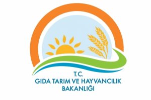 Bakanlığa 1167 personel alınacak