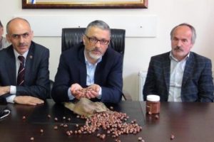 Giresun Ziraat Odaları: Fındık &uuml;reticisi kan ağlıyor