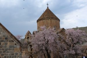 Akdamar Adası &ccedil;i&ccedil;ek a&ccedil;tı