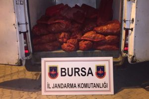 Bursa'da ka&ccedil;ak midye operasyonu!