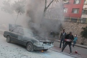 Mal canın yongası!