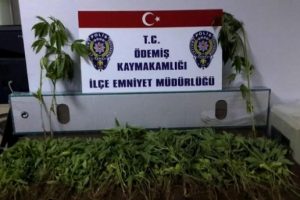 &Ouml;demiş'te esrar operasyonu