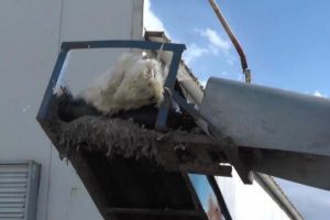 Elektrik gitti, 50 bin tavuktan 40 bini telef oldu
