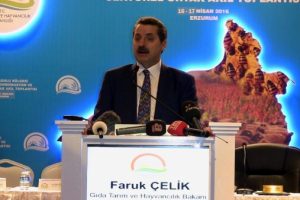 Bakan &Ccedil;elik: 200 sene sonra &ccedil;ocuklarımız toprağı saksıda g&ouml;recek