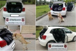 Diyarbakır'da 65 kilo esrar ele ge&ccedil;irildi