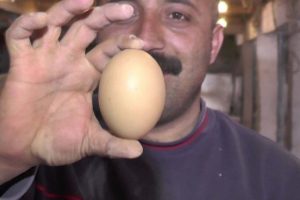 4 sarılı yumurtalar şaşırtıyor