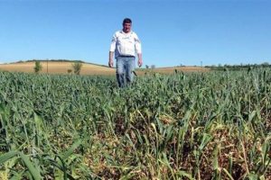 Edirne'de vir&uuml;s alarmı