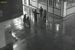 MOBESE'lere yansıyan 'yurdum insanı'