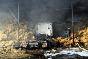 Bursa'da onlarca hayvan telef olmaktan kurtarıldı!