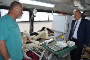 Bursa İznik'te sokak k&ouml;peklerine operasyon